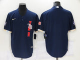 Tampa Bay Rays All-Star Fan 378