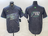 Tampa Bay Rays Rays City Style 1