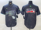 Tampa Bay Rays Rays City Style 3