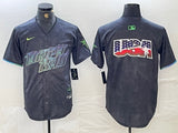 Tampa Bay Rays Rays City Style 4