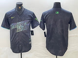Tampa Bay Rays Rays City Style 6