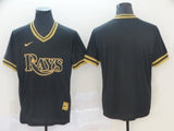 Tampa Bay Rays#blank