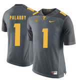 Tennessee Palardy 1 Grey