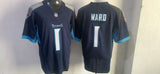 Tennessee Titans #1 Cameron Ward Style 2
