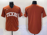 Texas Longhorns