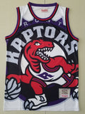 Toronto Raptors Style 3