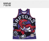 Toronto Raptors Style 6
