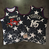 Toronto Raptors #15 Vince Carter Embroidered Jersey
