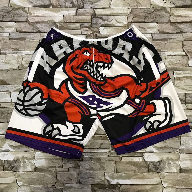 Toronto Raptors mitchell&ness big face Shorts Style 2