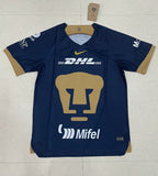 UNAM Style 4
