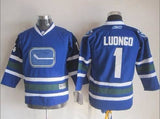 Vancouver Canucks Canucks Style 47