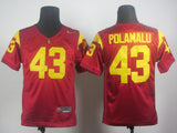 Youth Troy Polamalu 43 Red Youth
