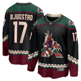 arizona coyotes #17 nick bjugstad home