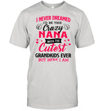I Never Dreamed I’d Be This Crazy Nana With The Cutest Grandkids Ever But Here I Am shirt_1