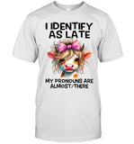 IDENTIFY AS LATE MY PRONOUNS ARE ALMOSTTHERE