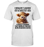 I WOULDN'T CHANGE MY GRANDKIDS FOR THE WORLD BUT I WISH I COULD CHANGE THE WORLD FOR MY GRANDKIDS
